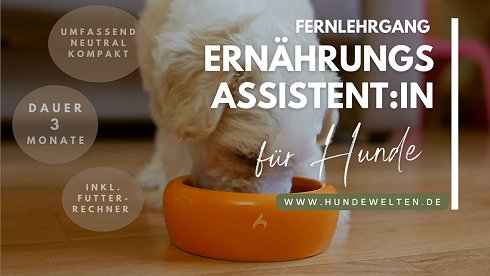 Video Ernährungsassistent Hund